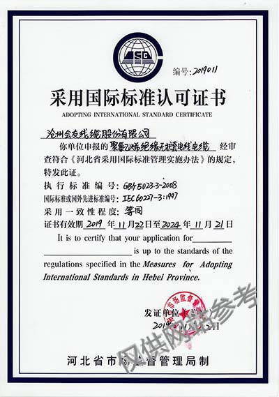  采用国际标准认可证书 